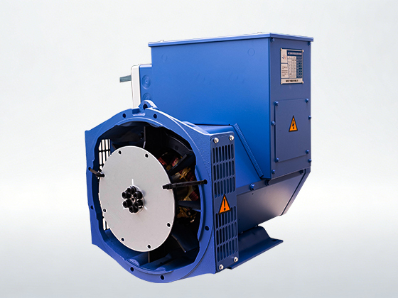 Brushless Generators